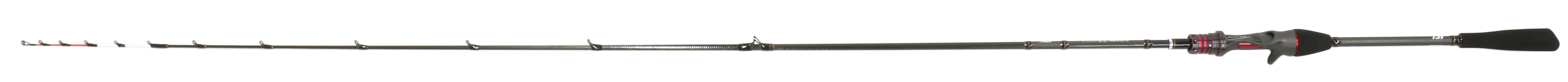 極鋭 カレイ EX AGS(ロッド)｜DAIWA