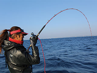 実釣未使用 ダイワ 21リーオマスター SX 真鯛 S-300・N Amazon | ダイワ(DAIWA) 21 リーオマスター SX 真鯛 M-270・N