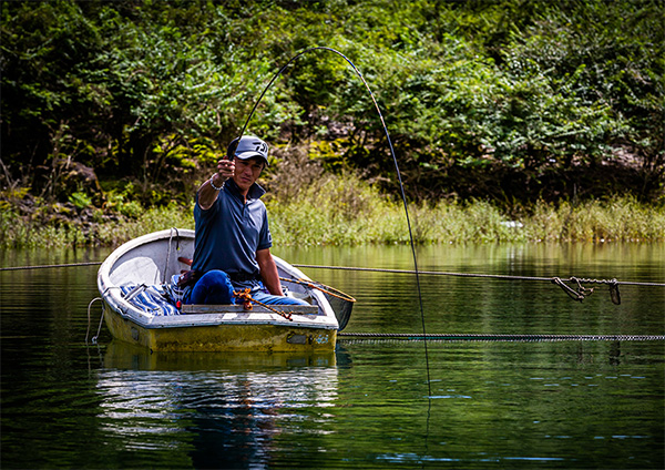 枯法師(ロッド)｜DAIWA