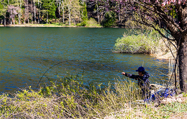 DAIWA ： impression - Web site