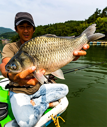 DAIWA ： impression - Web site