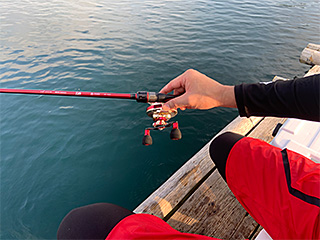 ダイワ　DAIWA BJ イカダ AIR 155MT BJ イカダ AIR(ロッド)｜DAIWA