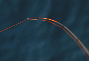 銀狼王牙 AGS(ロッド)｜DAIWA