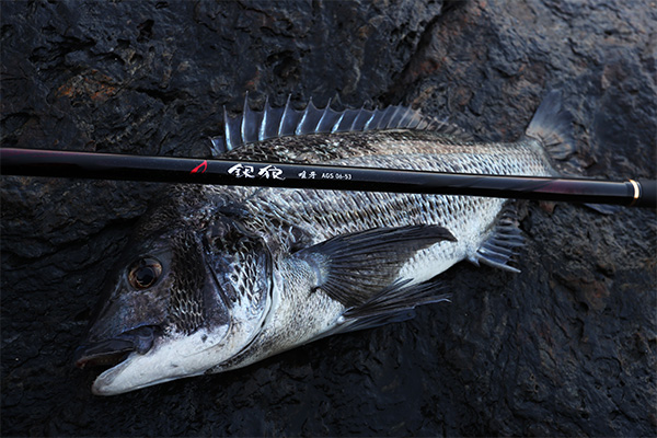 銀狼唯牙 AGS(ロッド)｜DAIWA