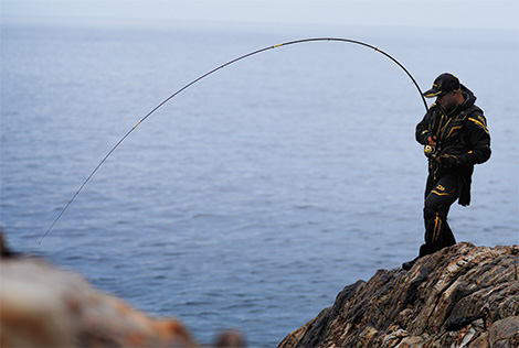 MONSTER FORCE モンスターフォース 尾長 50 Amazon | ダイワ(DAIWA) 磯竿 モンスターフォース(MONSTER FORCE