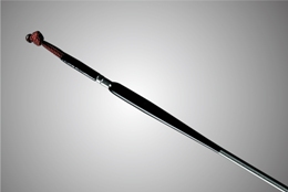 エキスパート 碧羅 中継(ロッド)｜DAIWA