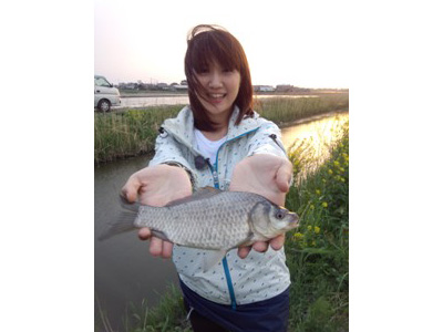 DAIWA ダイワ ロッド ひなた 八尺 8尺　　タナゴ DAIWA ダイワ ロッド ひなた 八尺 8尺 タナゴ ダイワ ひなた 8