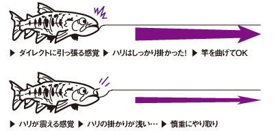 琥珀本流ハイパードリフト(ロッド)｜DAIWA