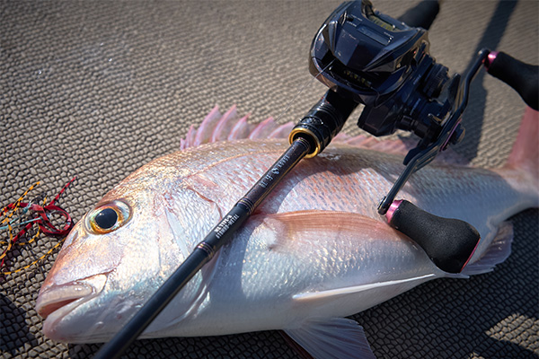 タイラバロッド 釣り具一式 1万円前後で買えるハイコスパなタイラバロッド9選！初心者が注意