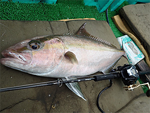 ネオステージ DG（電動ジギングモデル）(ロッド)｜DAIWA