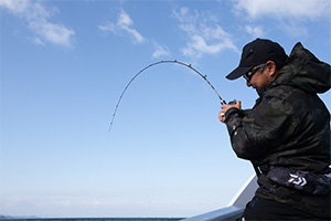 ソルティガ LJ(ロッド)｜DAIWA