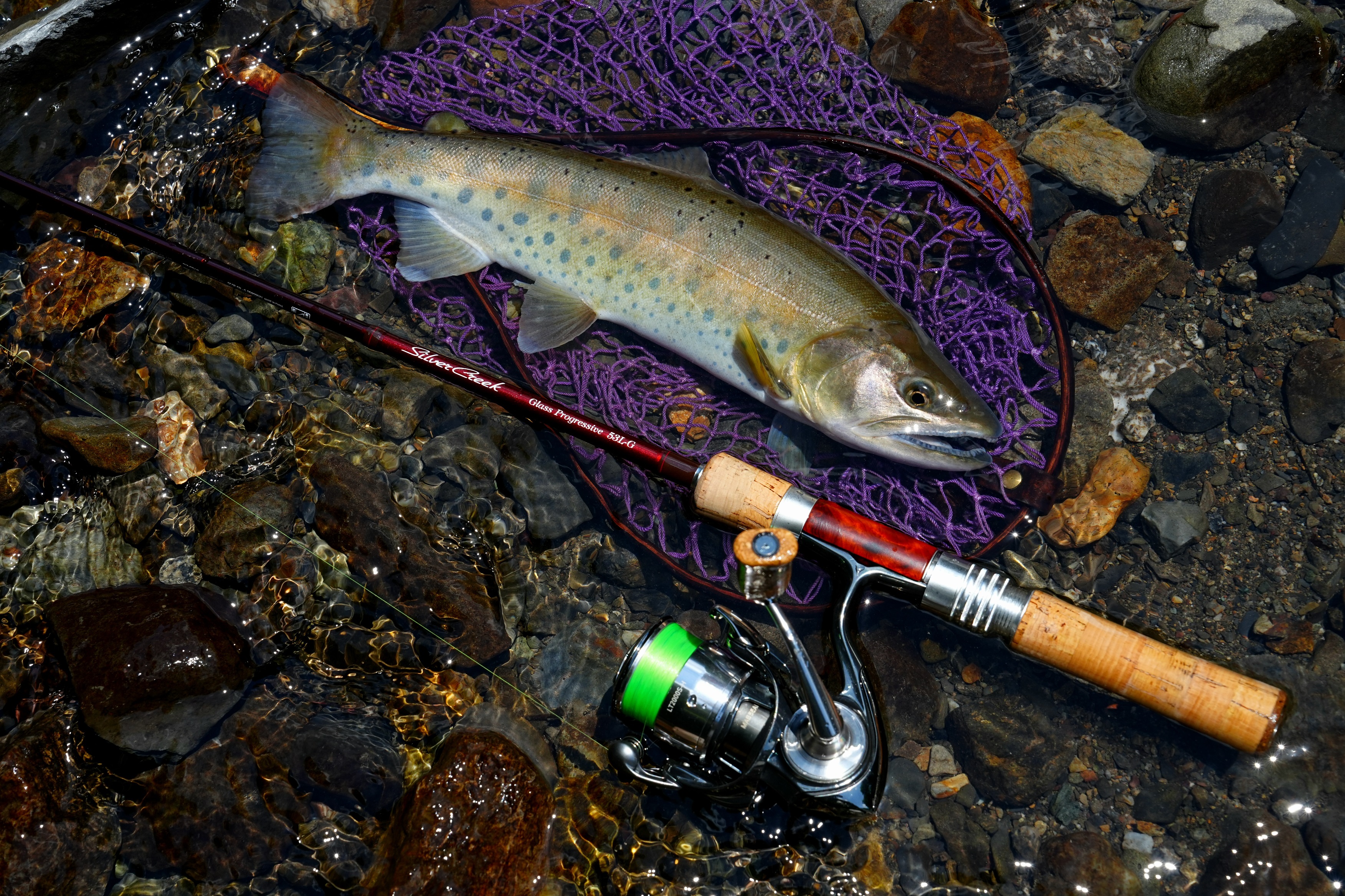 ダイワ　グラスロッド　DAIWA シルバークリーク グラスプログレッシブ(ロッド)｜DAIWA