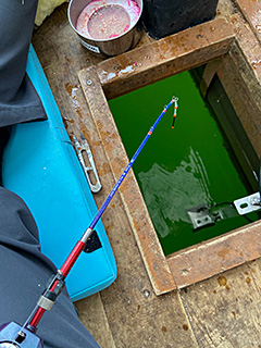 クリスティアワカサギ HG SS PA／FA(ロッド)｜DAIWA