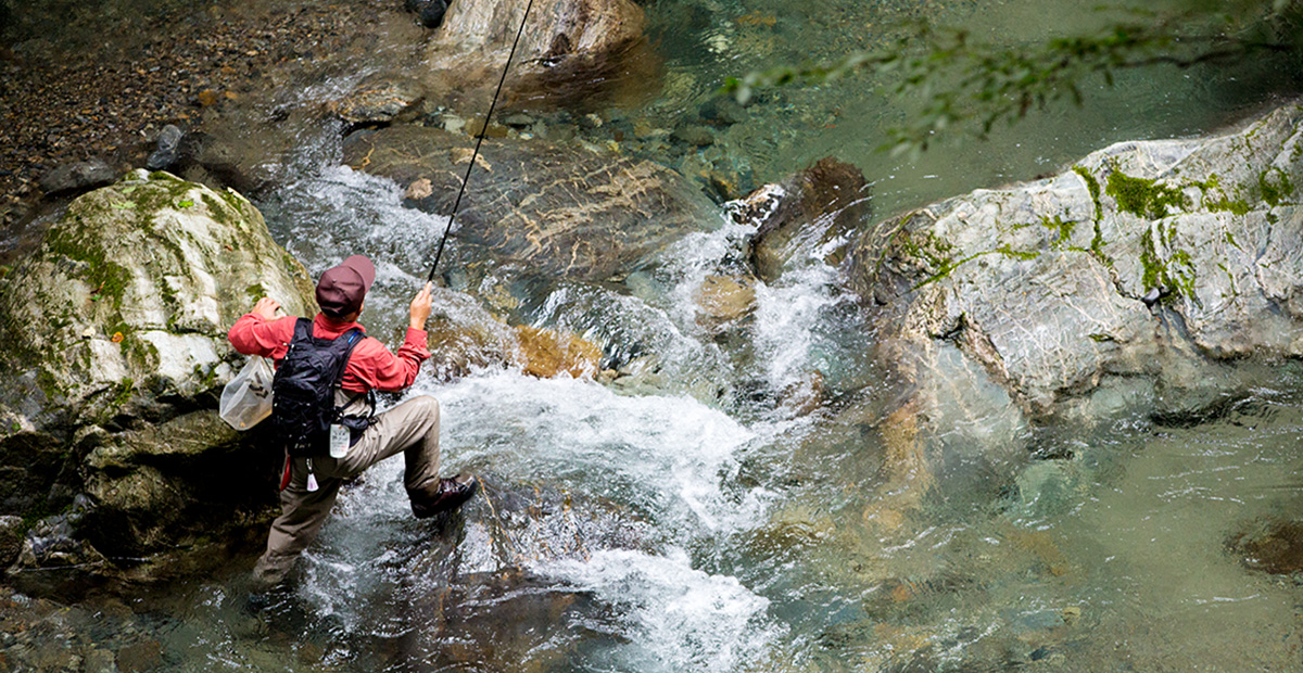 渓流フィールドテスター
