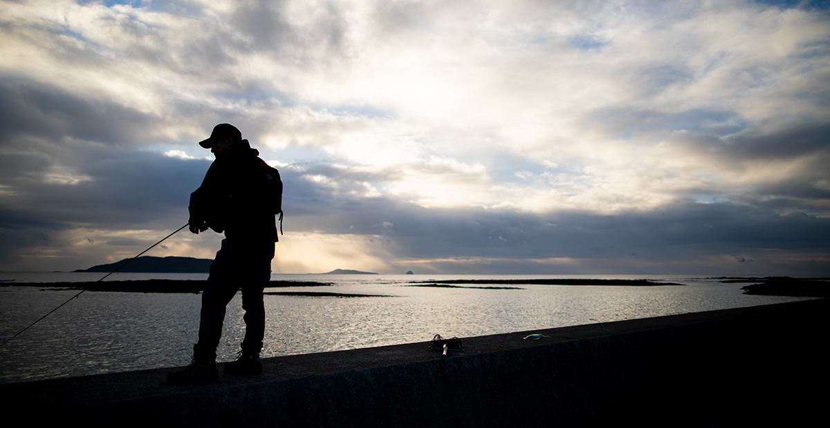 DAIWA ： DAIWA ANGLER