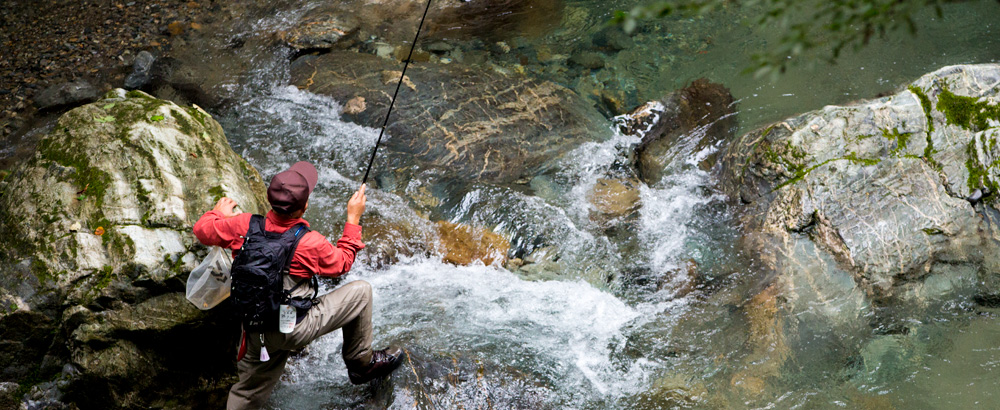 STREAM