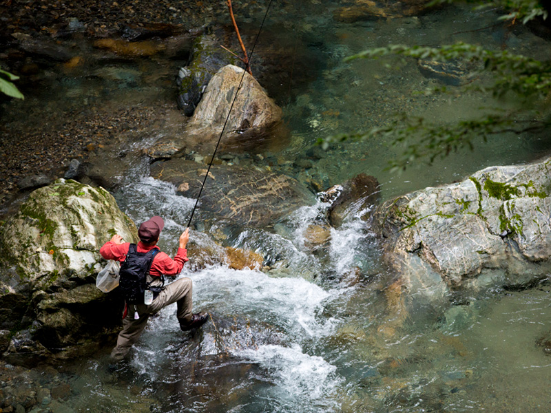 STREAM