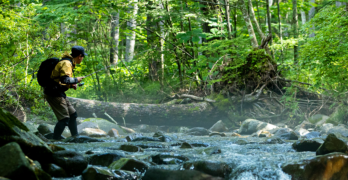 トラウトフィールドテスター