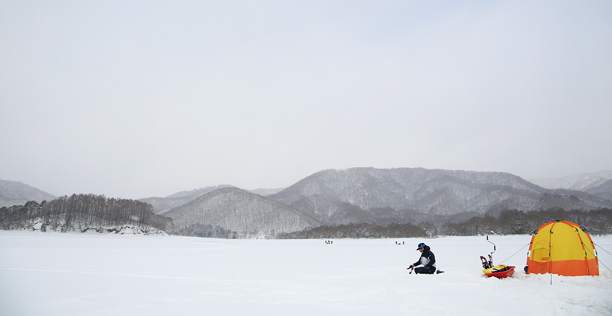 ワカサギフィールドテスター