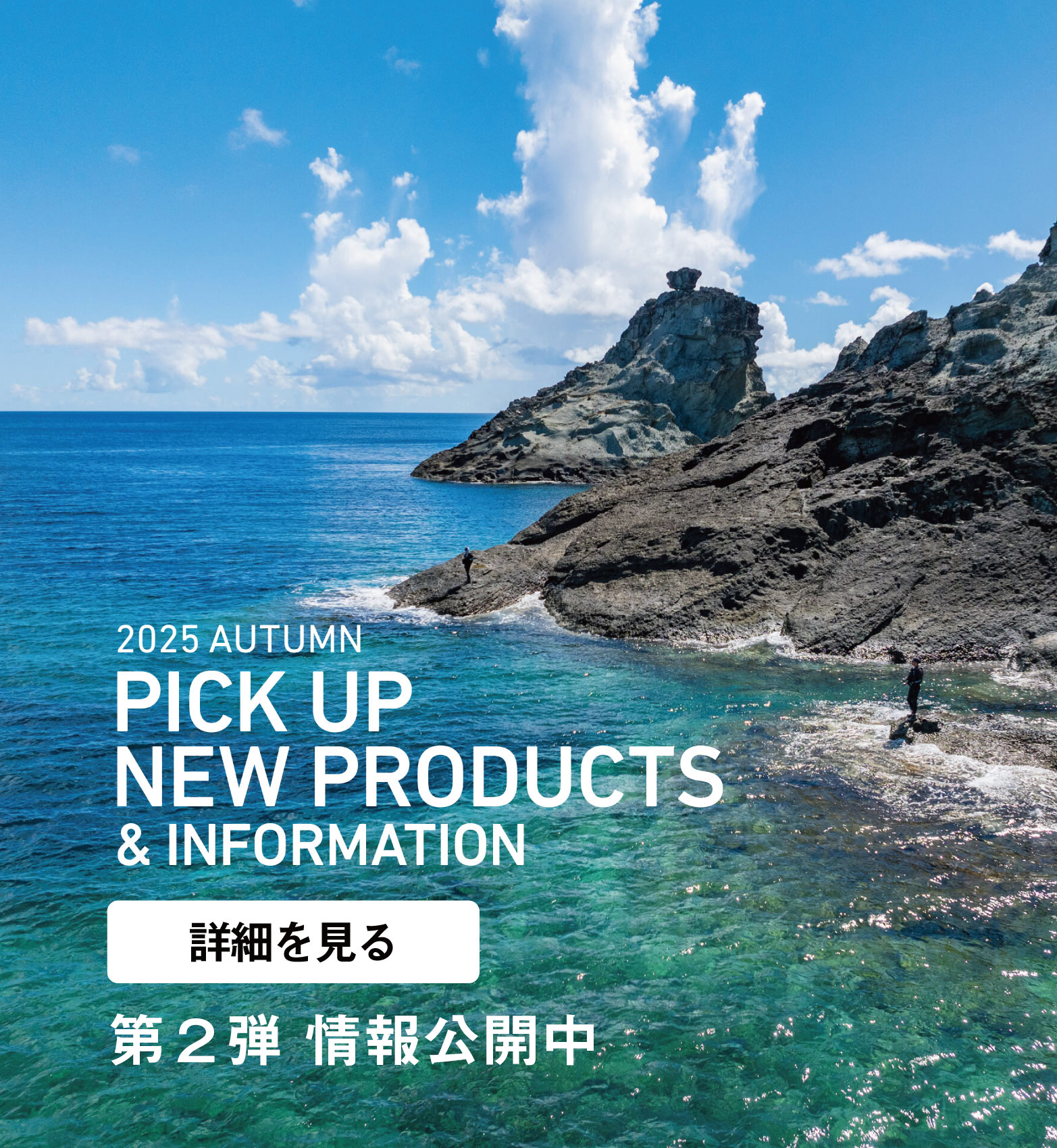 DAIWA 万能振出竿 波路 超硬60 +シモツケ回転トップ DAIWA 万能振出竿 波路 超硬60 +シモツケ回転トップ - メルカリ