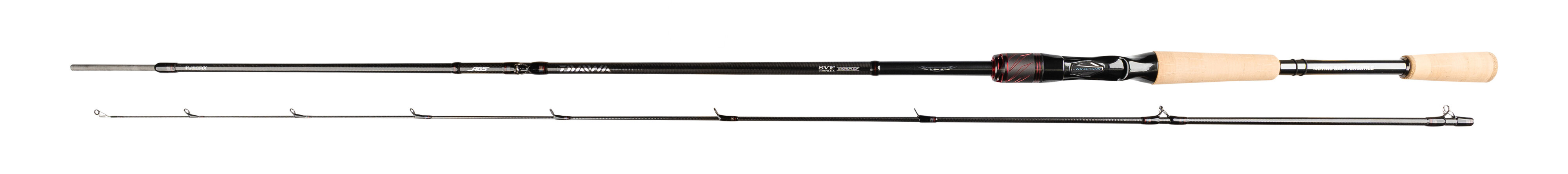 STEEZ AGS(Rods)｜DAIWA